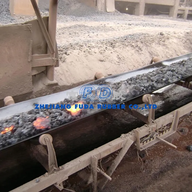 Conveyor Belt Detail 1