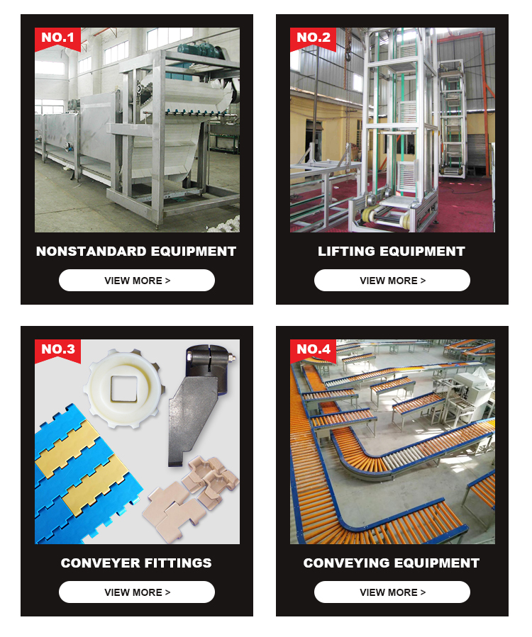 Baggage Airport Conveyor for Airport Luggage Handling