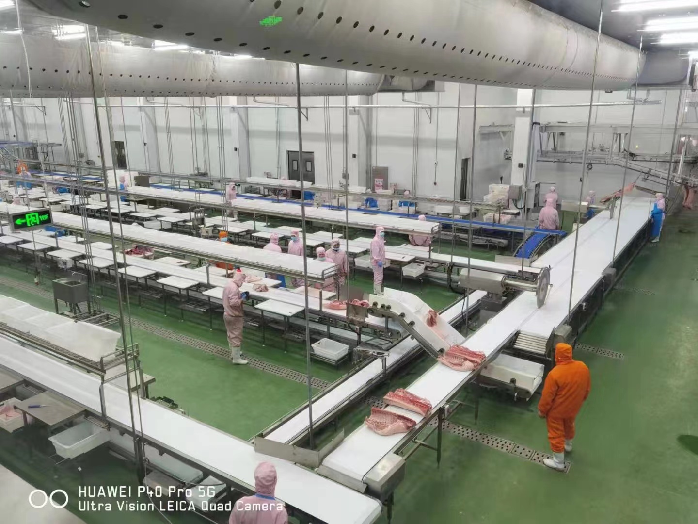 HE POM Conveyor Belt Production Line Meat Processing Line For Cattle Slaughterhouse