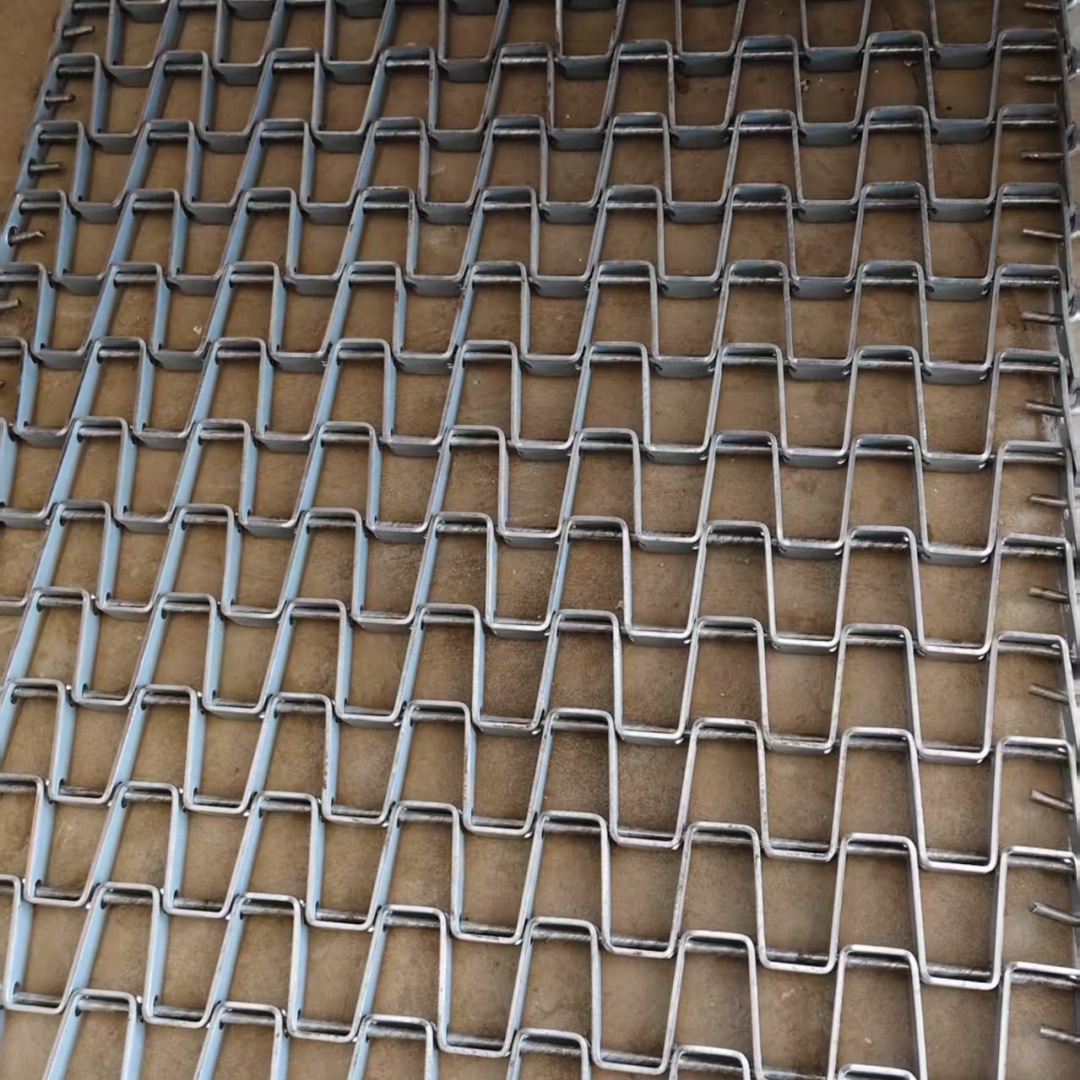 Related Conveyor Belt 2