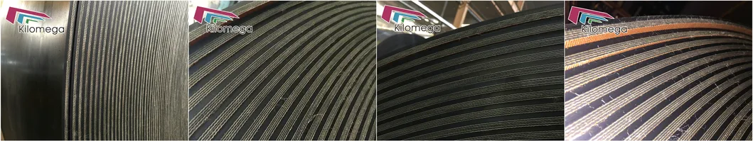 Conveyor Belt Details 2