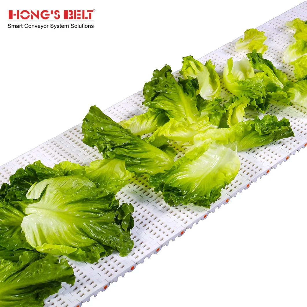 Food Plastic Modular Conveyor Belt Details 3