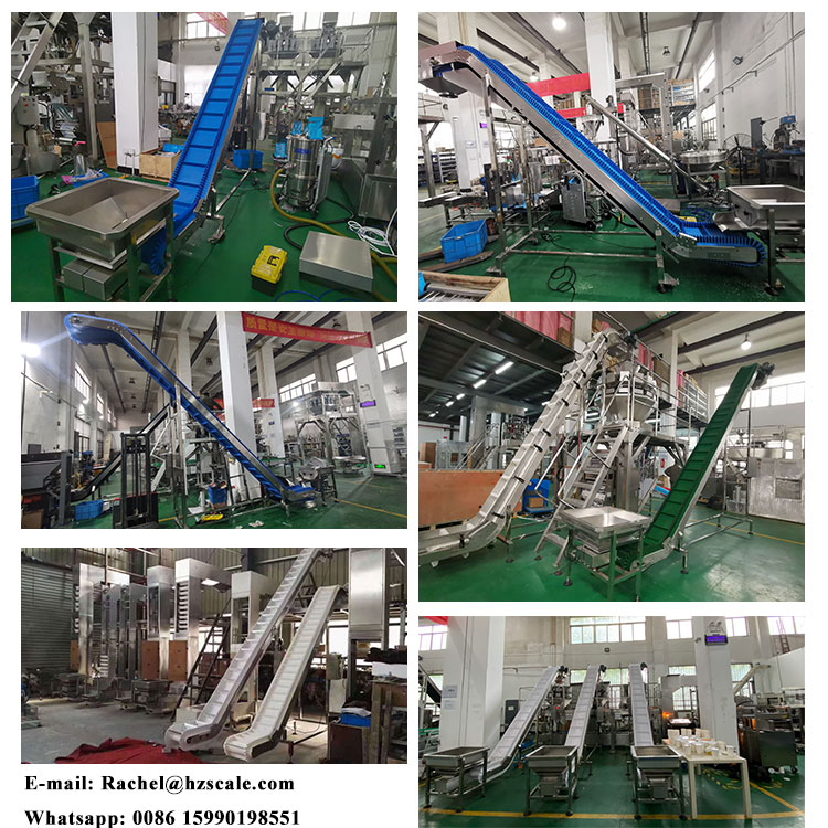 Conveyor structure detail