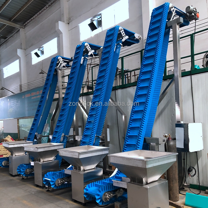 Conveyor detail features