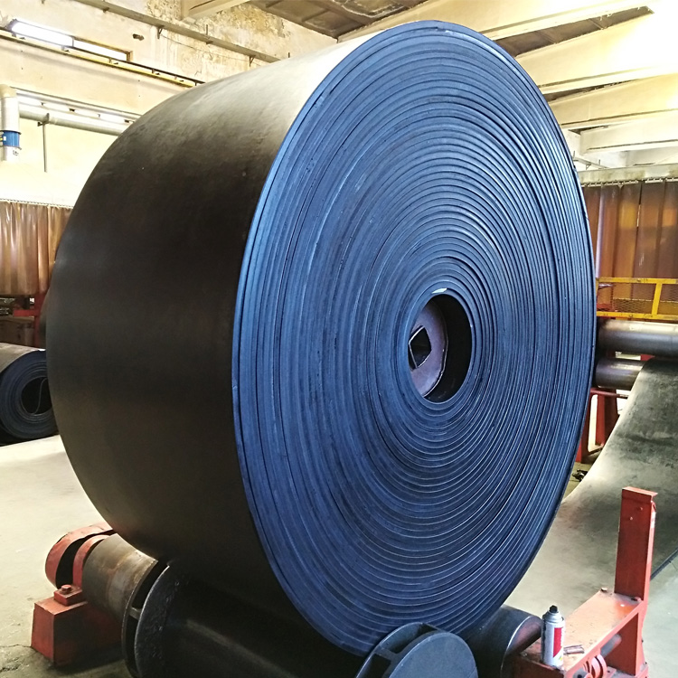 Conveyor Belt Image 4