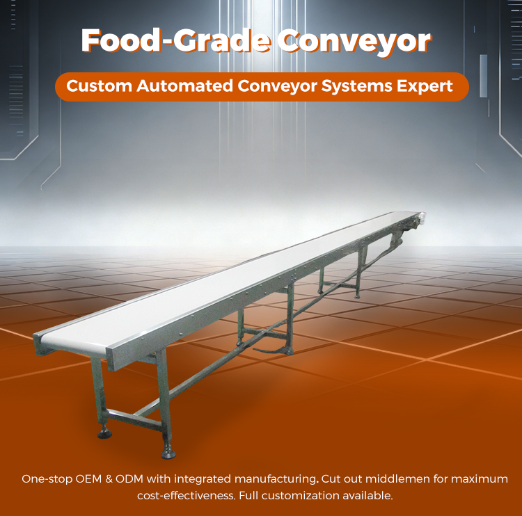 Custom Automated Conveyor System