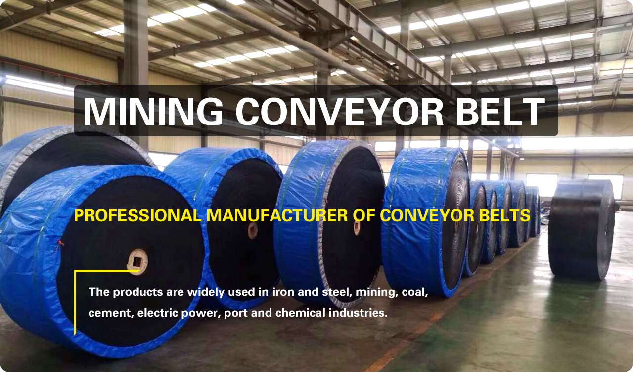 Conveyor Belt Product