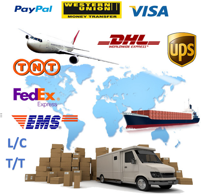 Logistics and Transport
