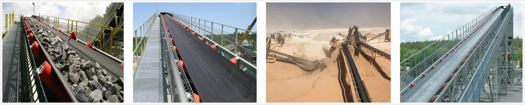 Successful Conveyor Belt Project Site