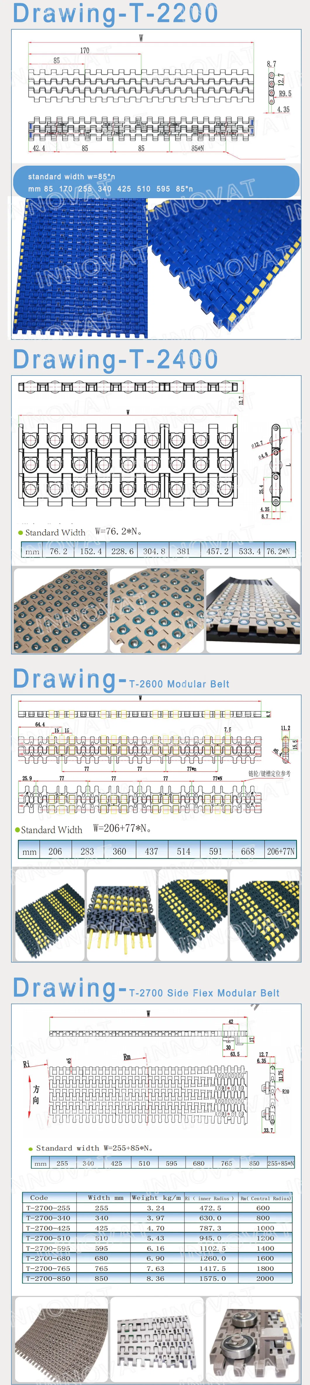 Plastic Modular Belt Detailed 2