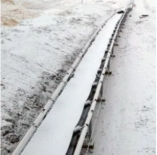 Cold-resistant conveyor belt