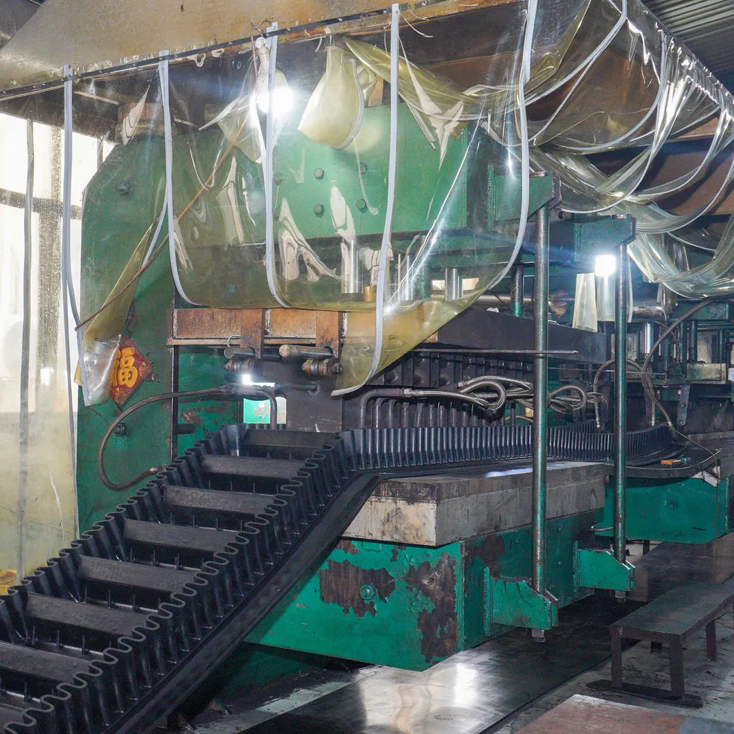 Conveyor Belt Details 2