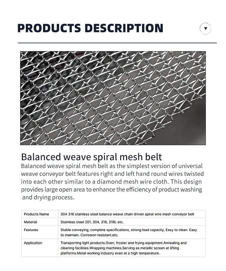 Balanced Weave Spiral Mesh Belt Detail