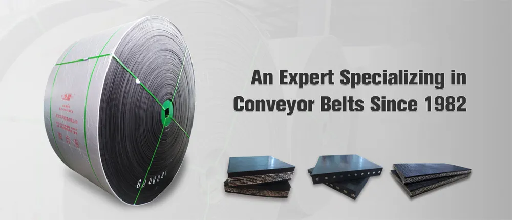 90 Degree Ep/Nn Sidewall Conveyor Belt Supplier Belt Conveyor