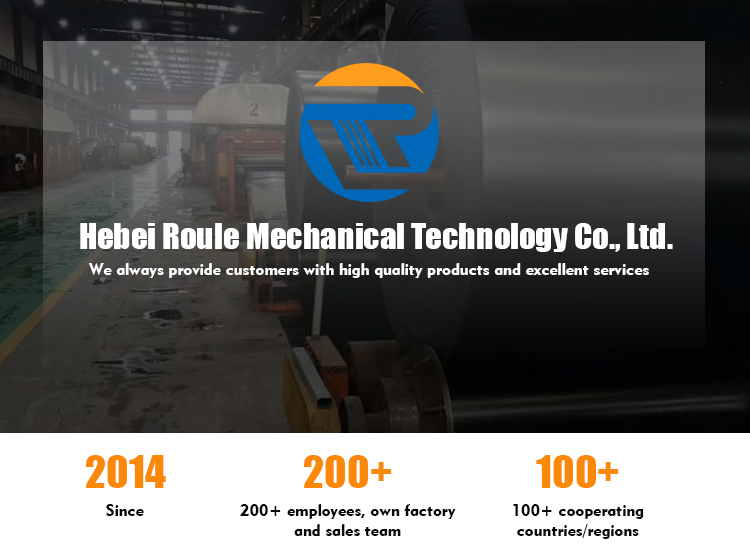Conveyor Belt Banner 1