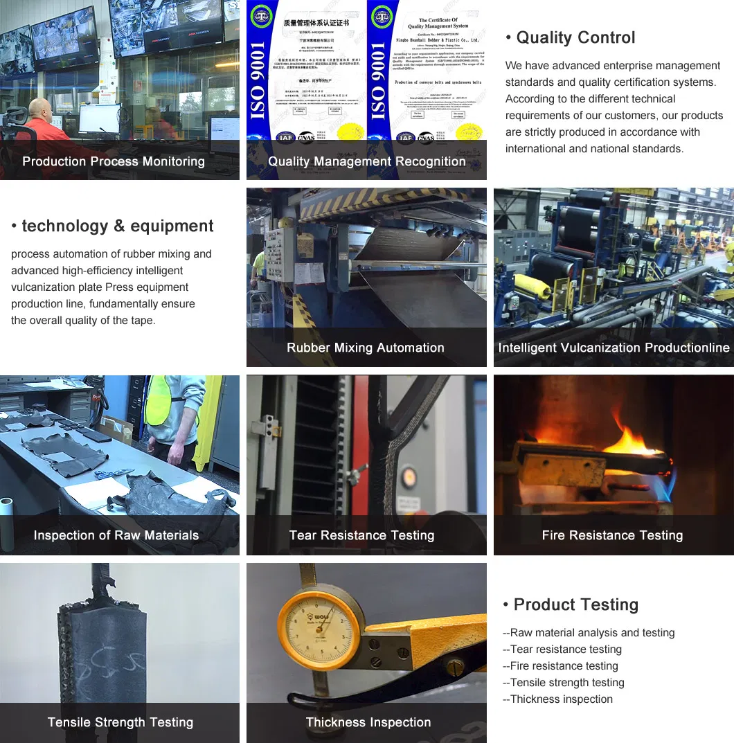 Quality Testing and Management