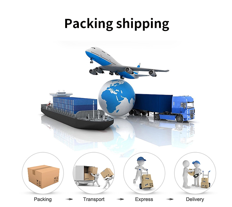 Packing and Delivery Image