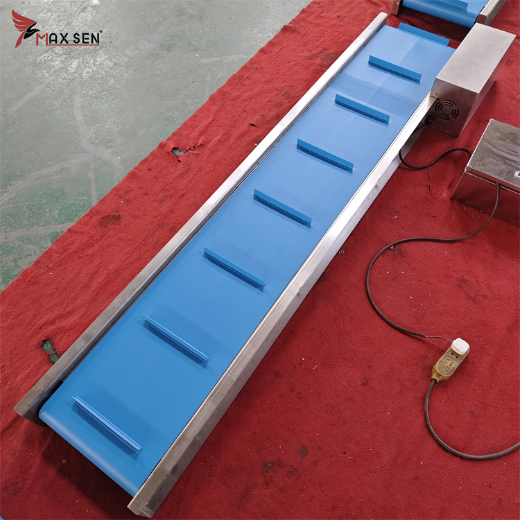 Conveyor Detailed View 3