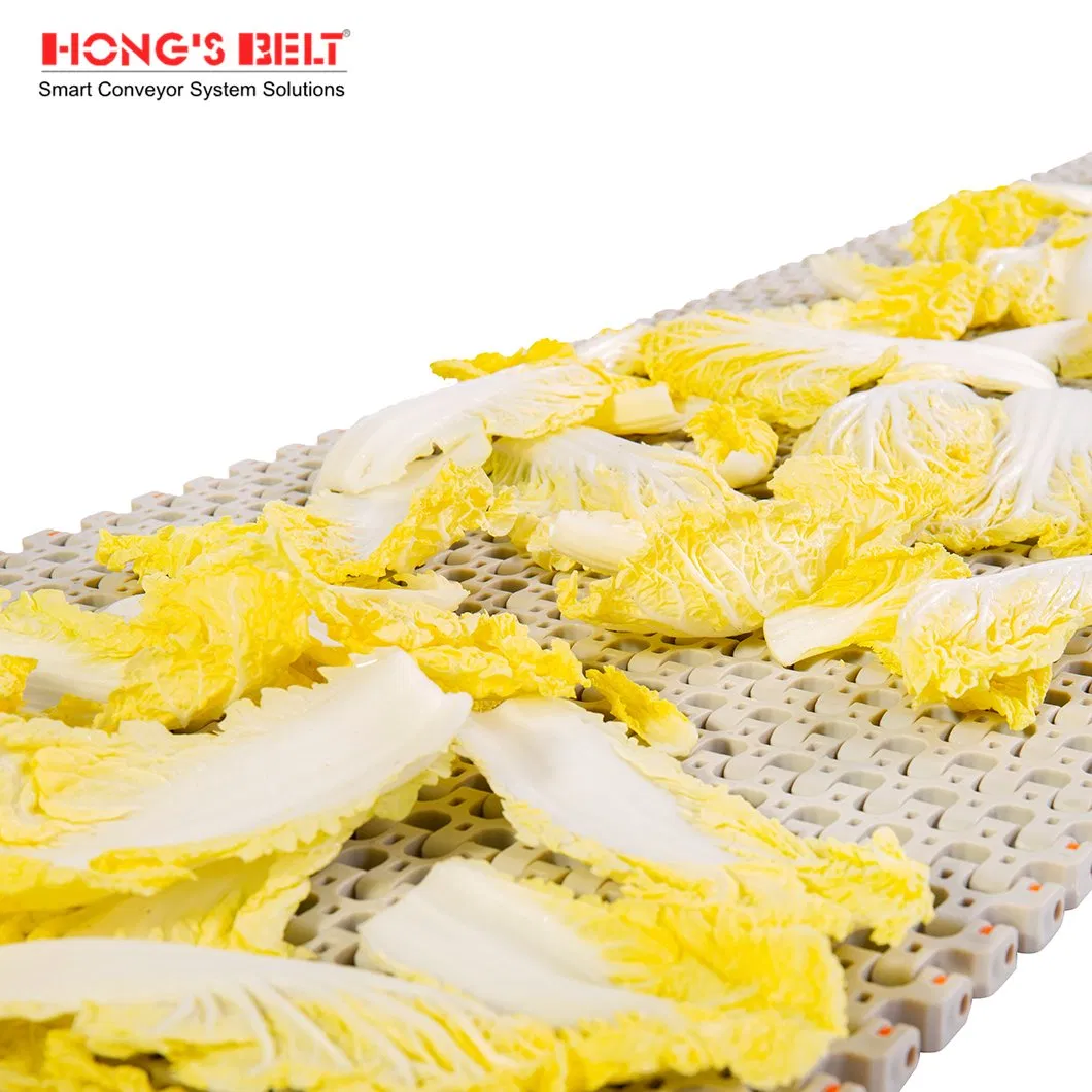 Hongsbelt Perforated Plastic Conveyor Modular Belt for Food Processing Line