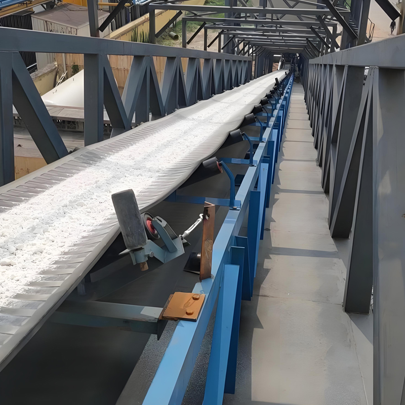 Stainless Steel Food Conveyor PVC/PU/Rubber Belt with Competitive Price for Material Handling
