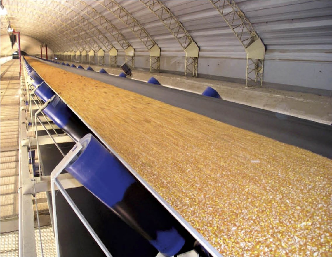 Conveyor Belt Field Application 4