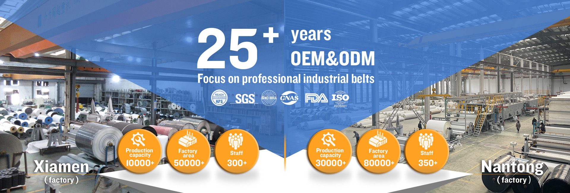 Company Profile