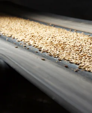 Oil resistant conveyor belt