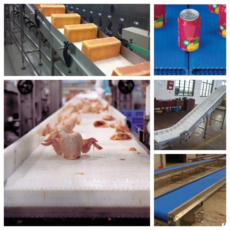 Modular Conveyor Belt Operational Use