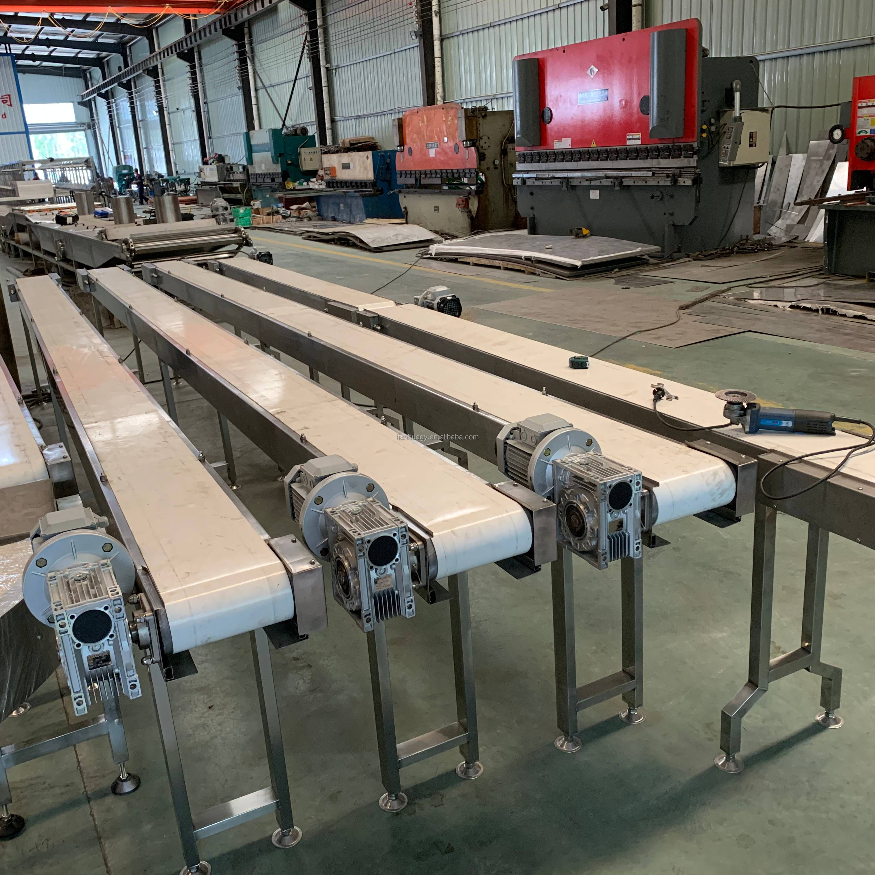 Belt Conveyor Details 3