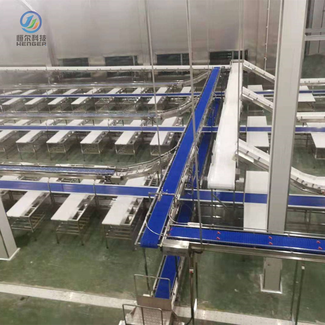 HE POM Conveyor Belt Production Line Meat Processing Line For Cattle Slaughterhouse