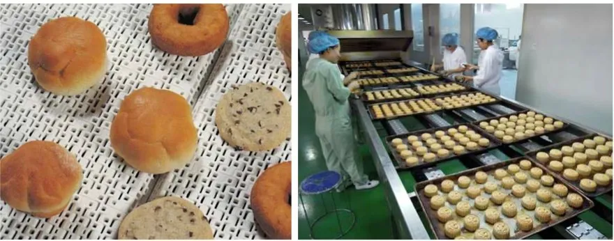 Baking Industry Conveyance