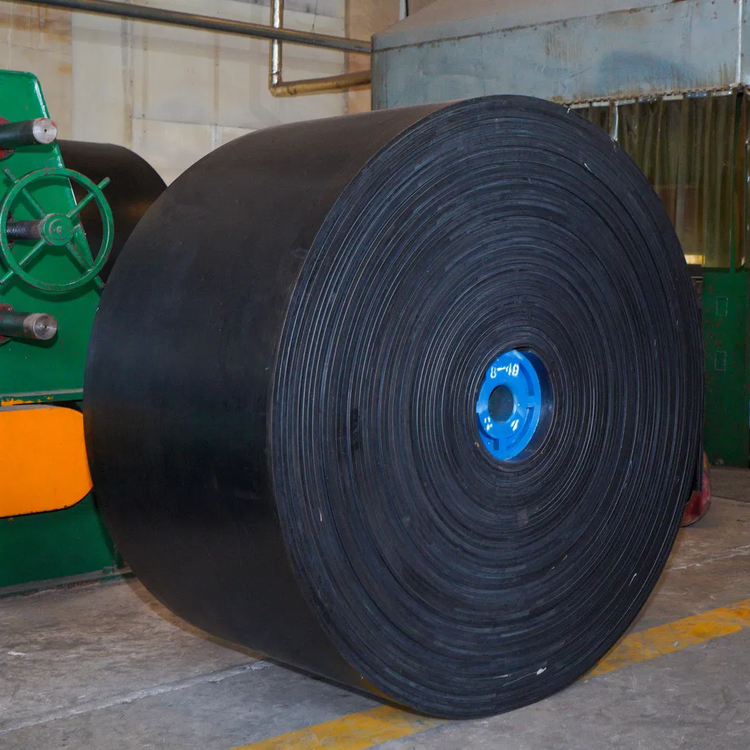 Conveyor Belt Detail Photo 3