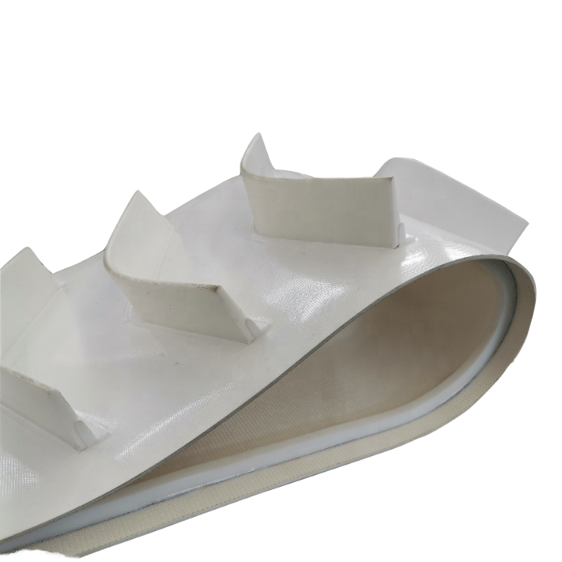 Conveyor Belt Image 1