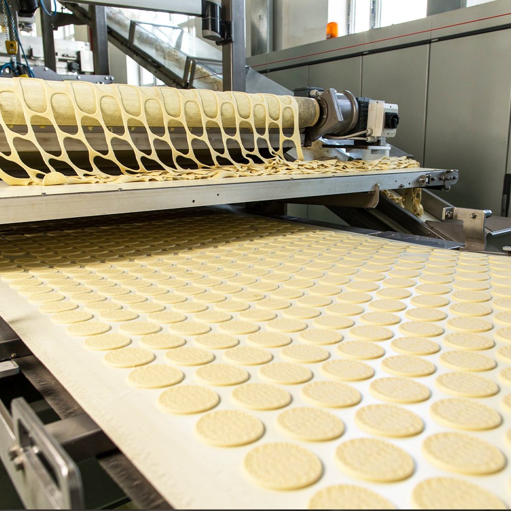 Food Grade Belt Conveyors