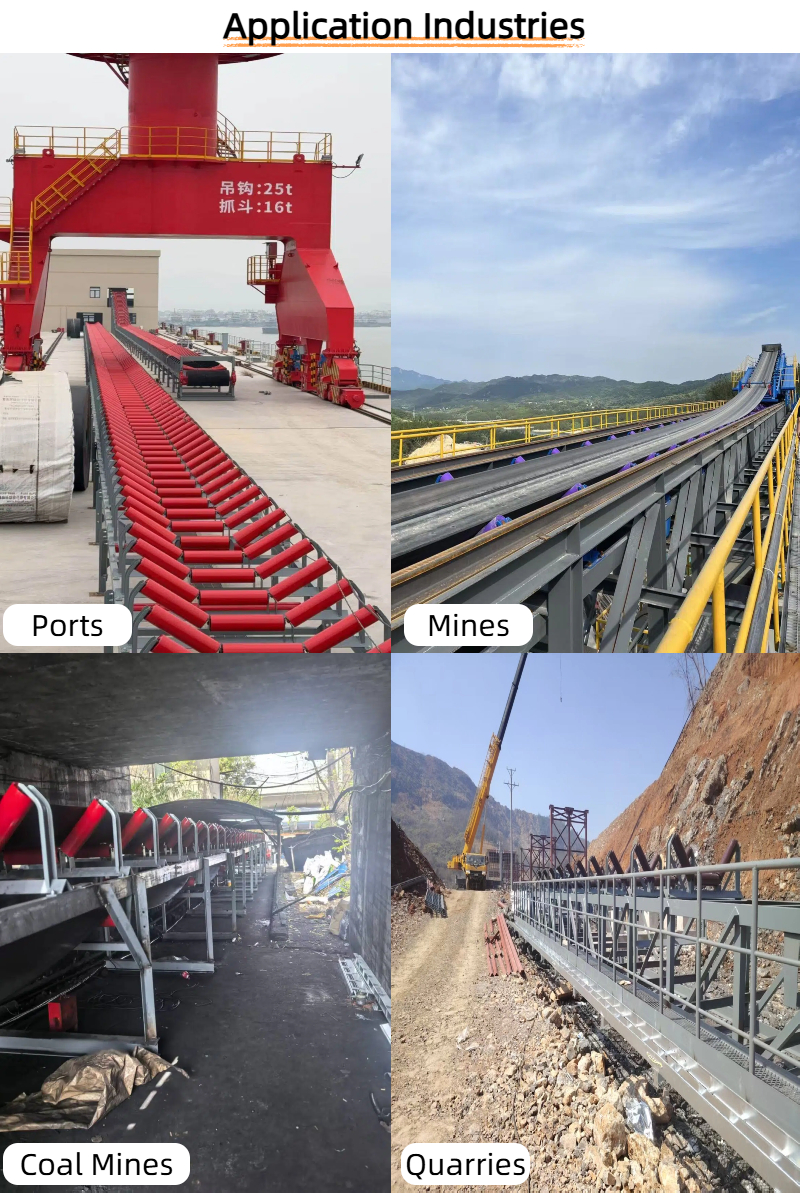 Competitive Price Factory Direct Durable Steel Double Sealed Bearing Oil/Fire/Heat Resistant Roller Belt Conveyor