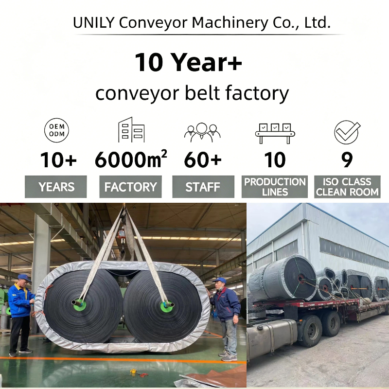 Custom Size Flame Retardant EP Conveyor Belt for Underground Coal Mining
