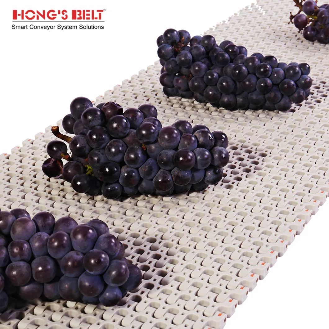 Hongsbelt Perforated Plastic Conveyor Modular Belt for Food Processing Line