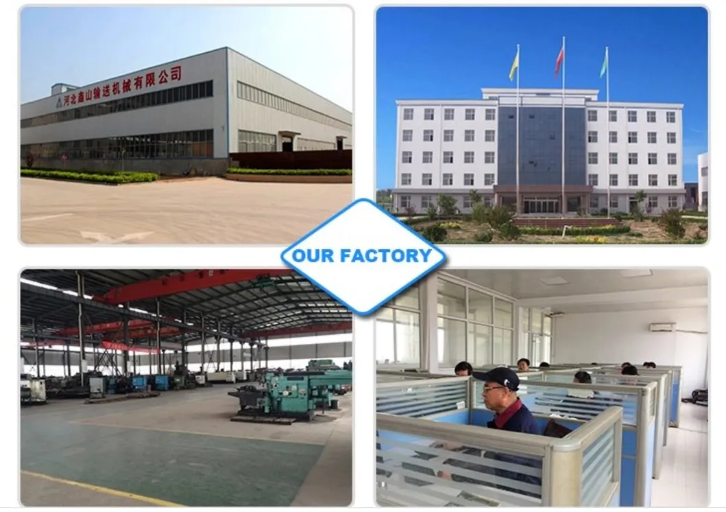 Customized OEM Industrial PVC Canvas/Steel Cord/ Ep/Nylon/Chevron/Corrugated Sidewall/Fabric/ Polyester/Chevron Rubber Conveyor Belt