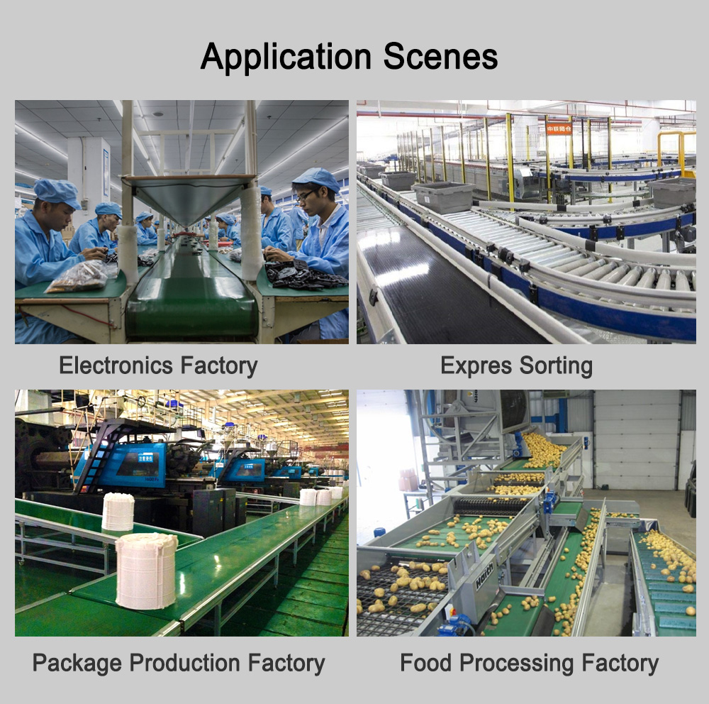 Conveyor Application View 5