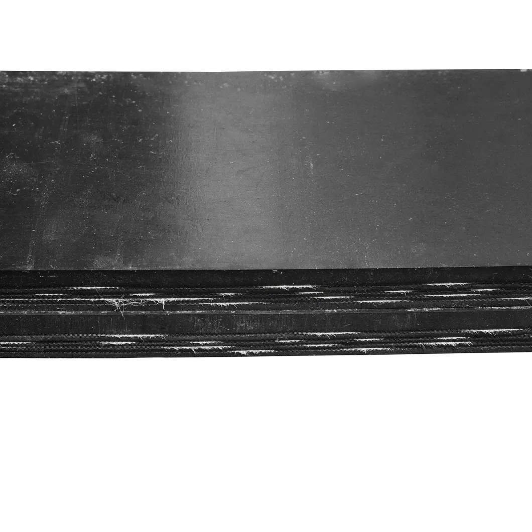 Conveyor Belt Detail Photo 2