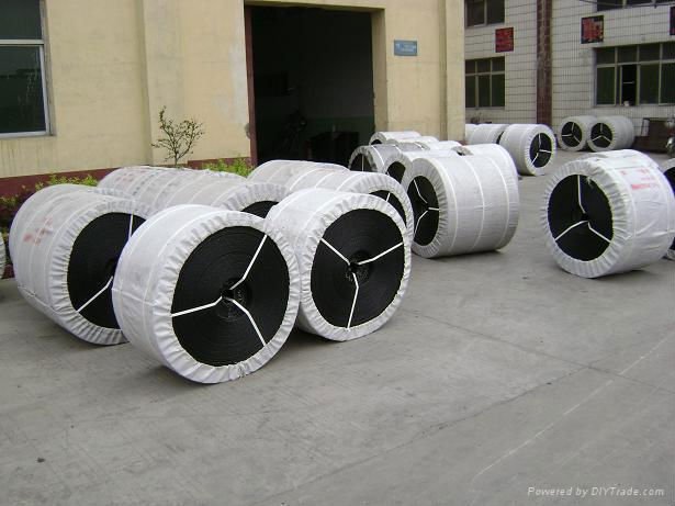Oil Resistant Conveyor Belt