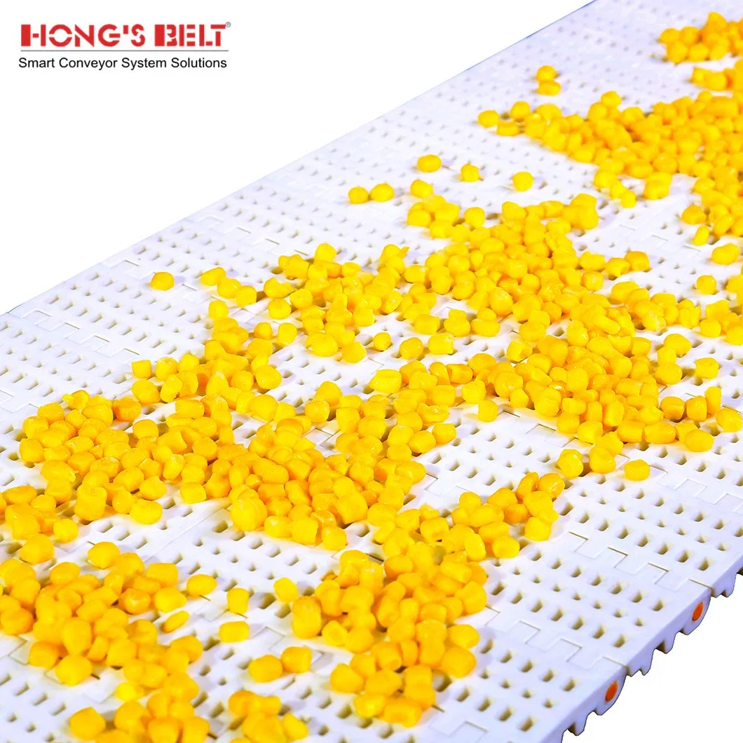 Hongsbelt Food Plastic Modular Conveyor Belt