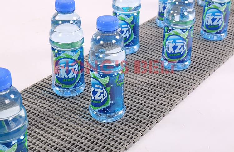 Modular Plastic Conveyor Belt Details 2