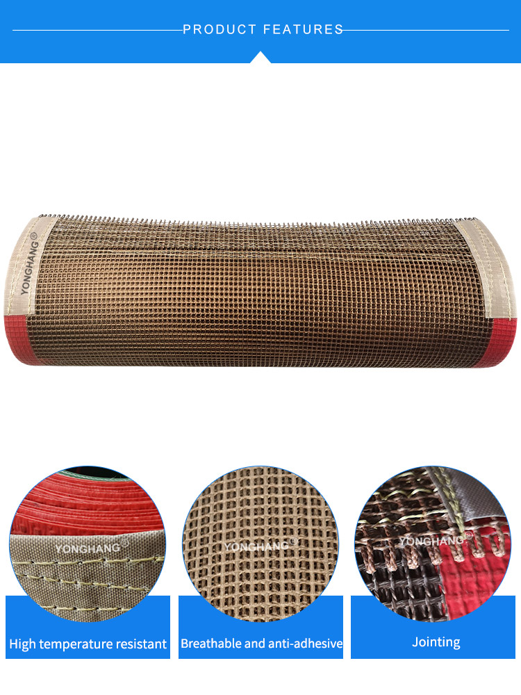 PTFE Belt details 1