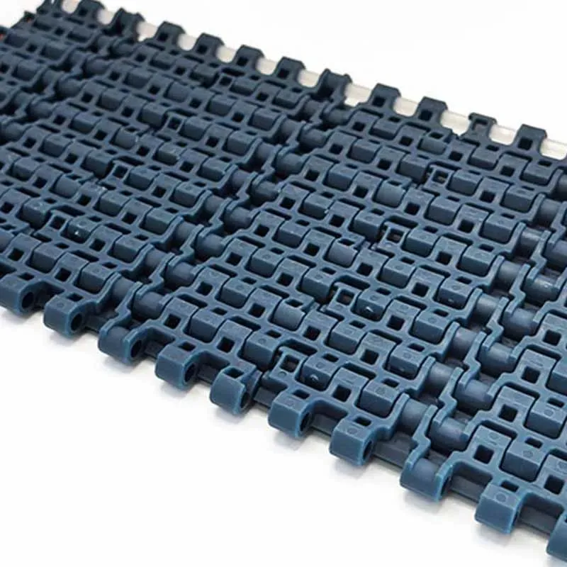 Conveyor Belt Detail 2
