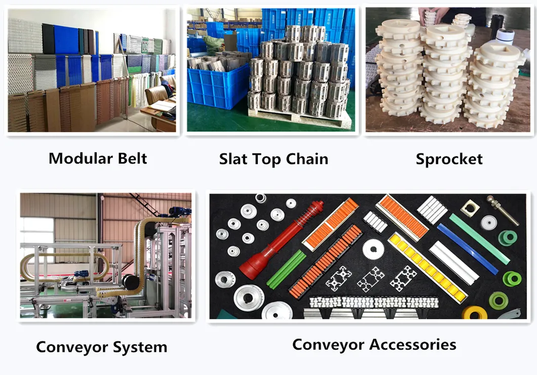 Conveyor Belt Detail View