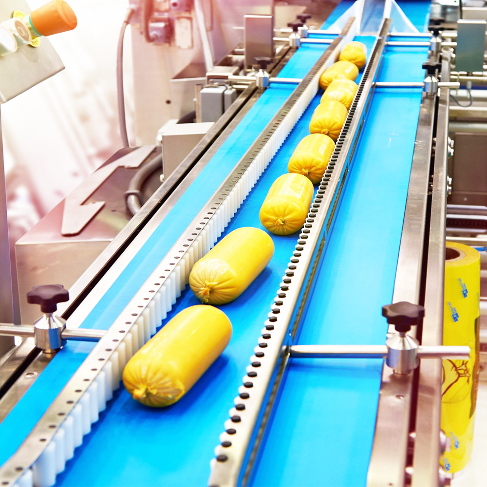 Conveyor Application 5