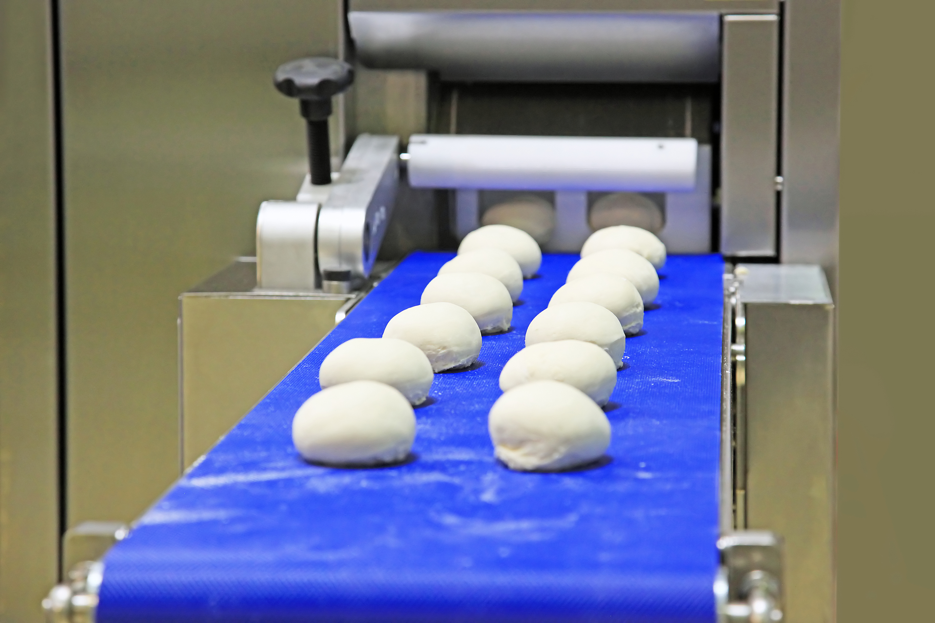 PU Food Grade Conveyor Belt with Sidewall and Cleat for Food Processing Conveyor Belt