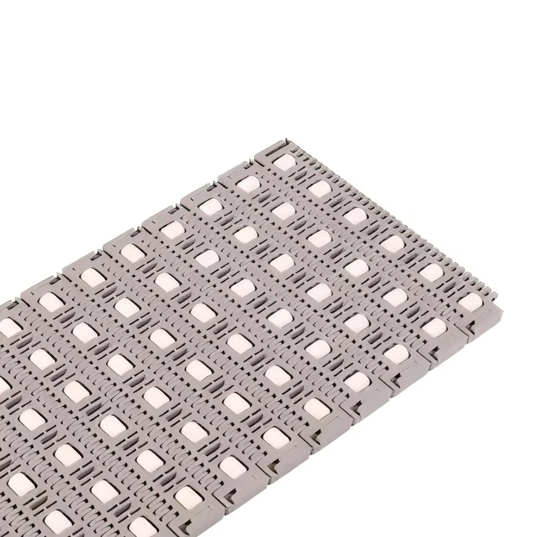 Conveyor Details