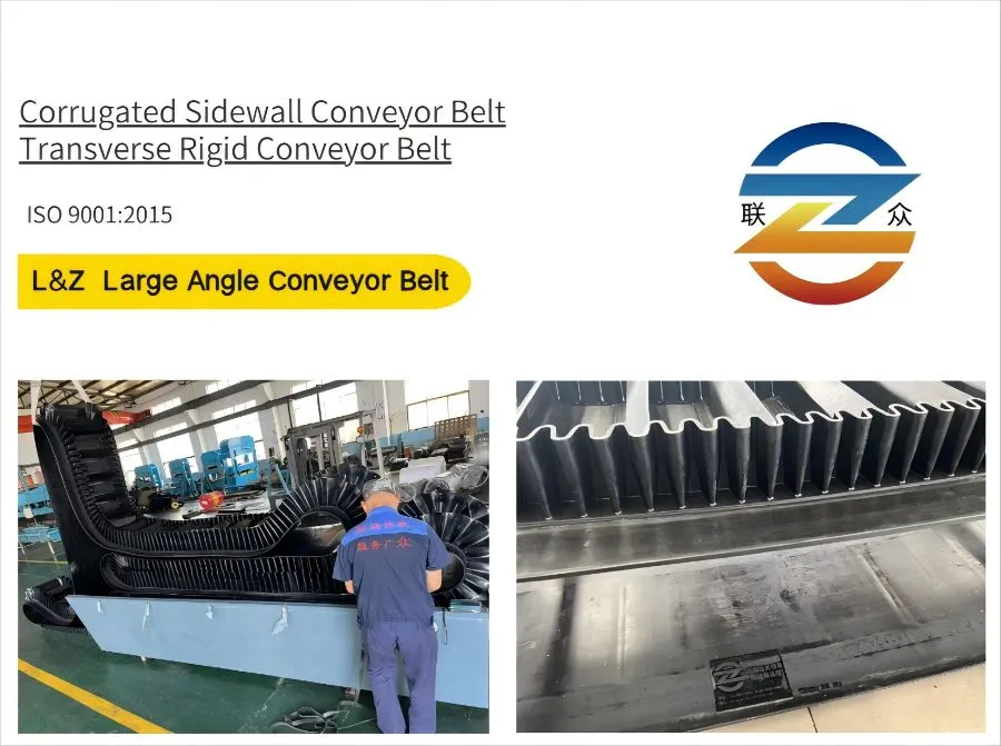 Large Angle Sidewall Conveyor Belt Detail